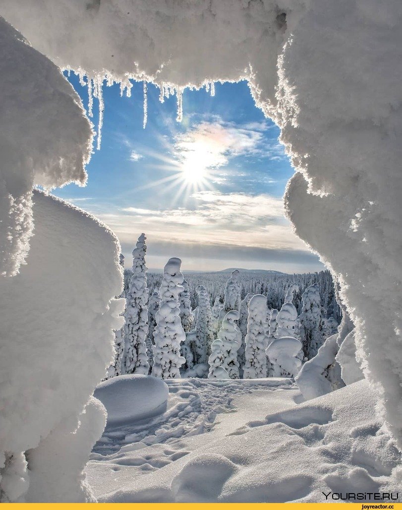 Зимний лес Пермский край