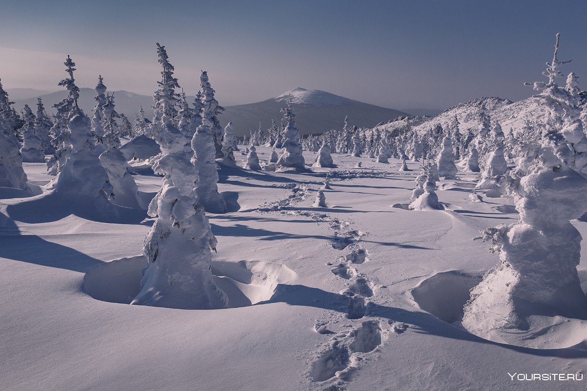 Природа в снег и люди