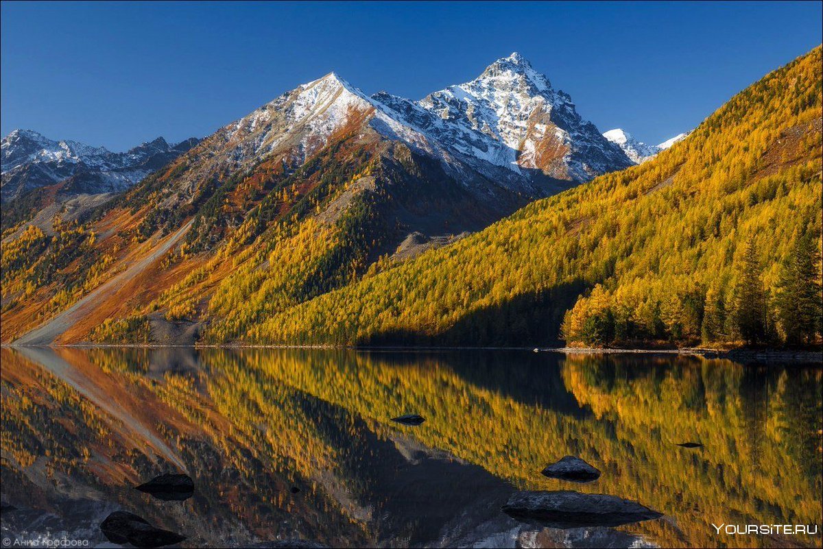 Золотые горы Алтая (Сибирь)