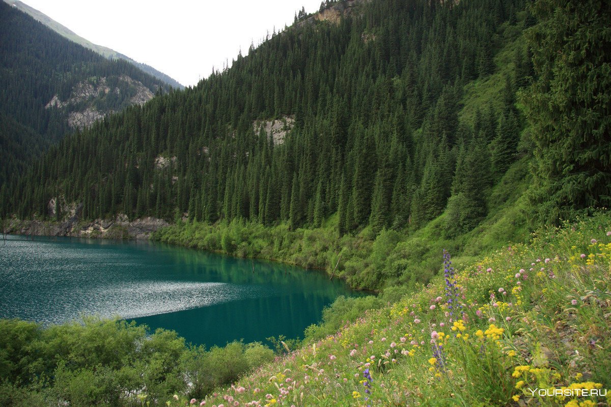 Казахстан озерное