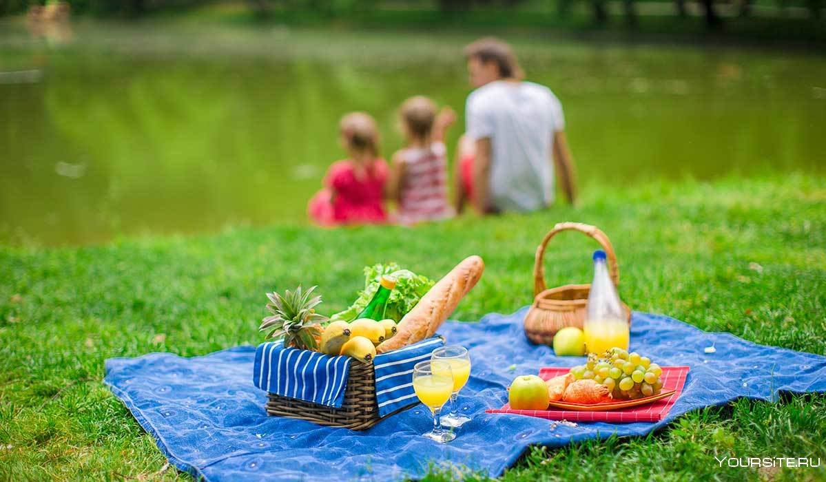Пикник на природе летом