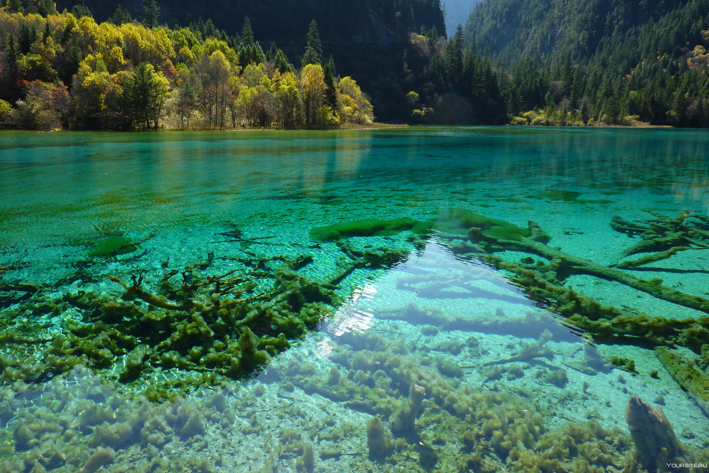 Озеро с синей водой. Сычуань Цзючжайгоу. Долина Цзючжайгоу Китай. Озера Долины Цзючжайгоу. Национальный парк Цзючжайгоу (провинция Сычуань).