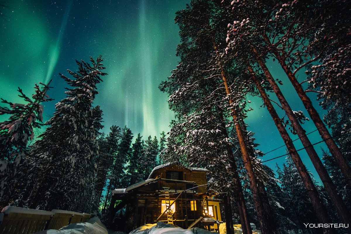 Зимняя природа Карелии