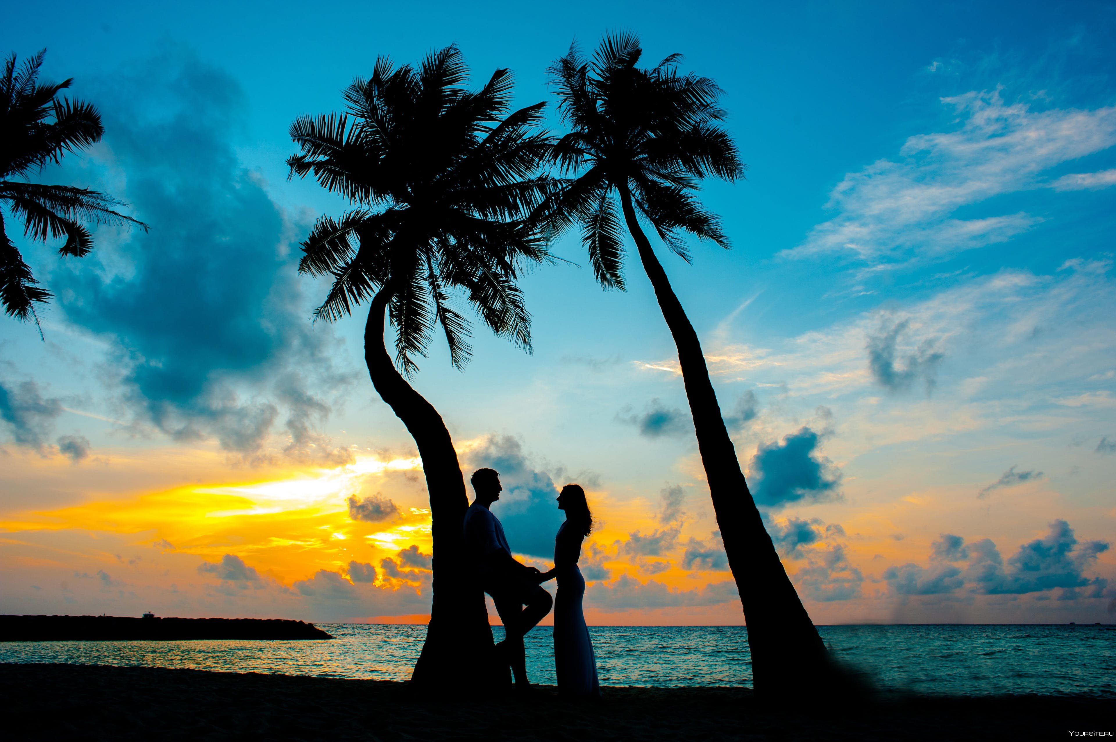 Romance many. Сансет Бич Мальдивы. Пляж пальмы люди. Двое влюблённых на острове. Пальмы солнце.