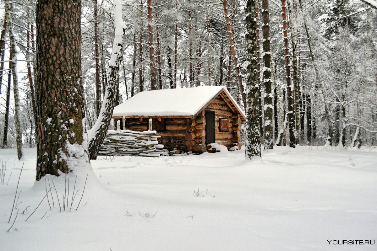 Дом зимовье в тайге