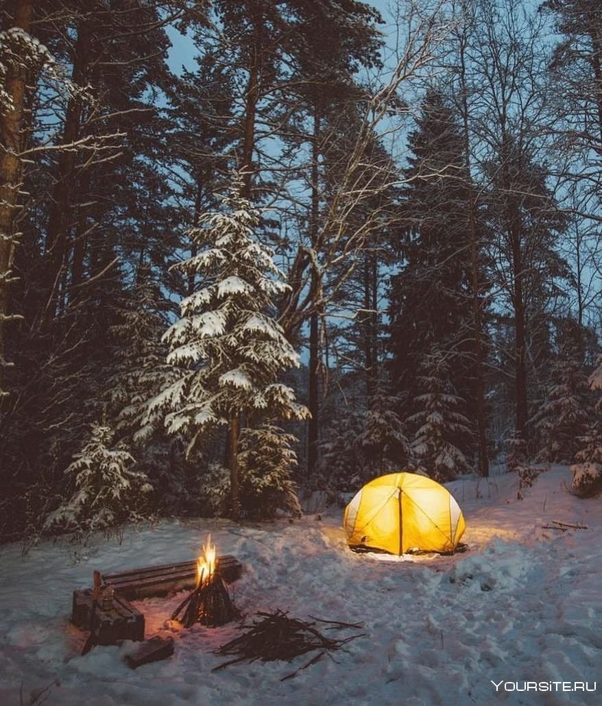 Лес палатка костер