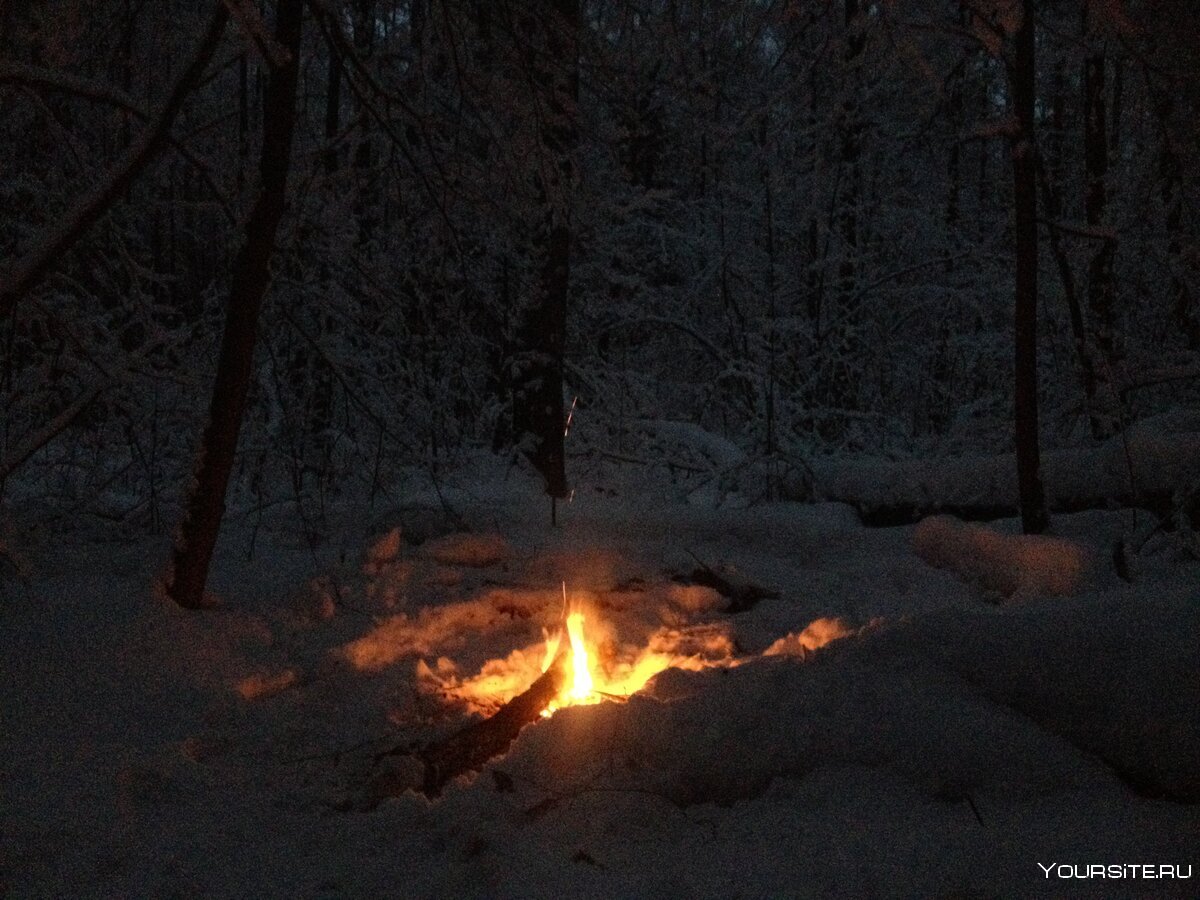 Костер в лесу зимой