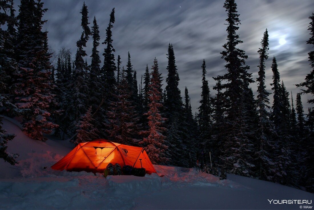 Зима лес палатка