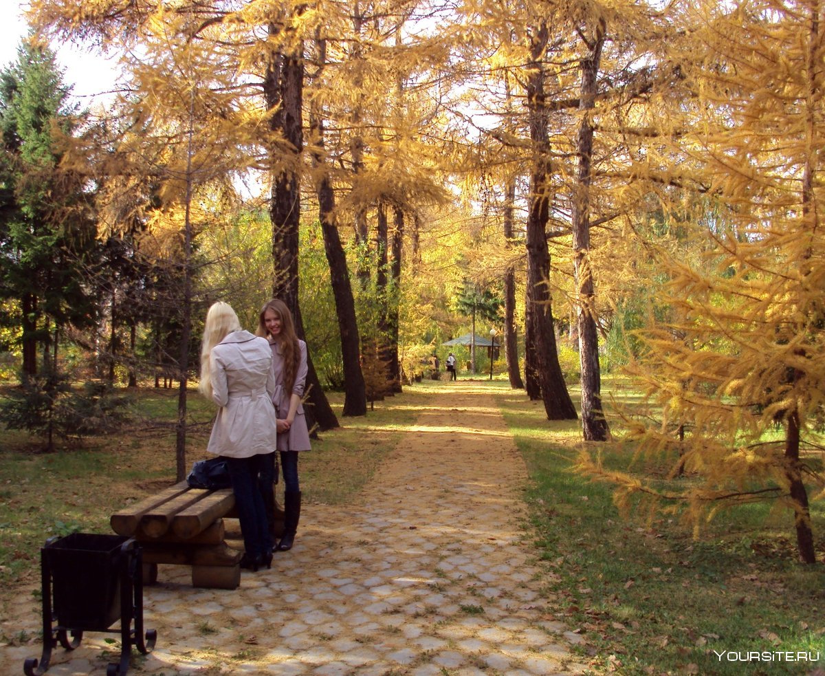Осень парк Омск