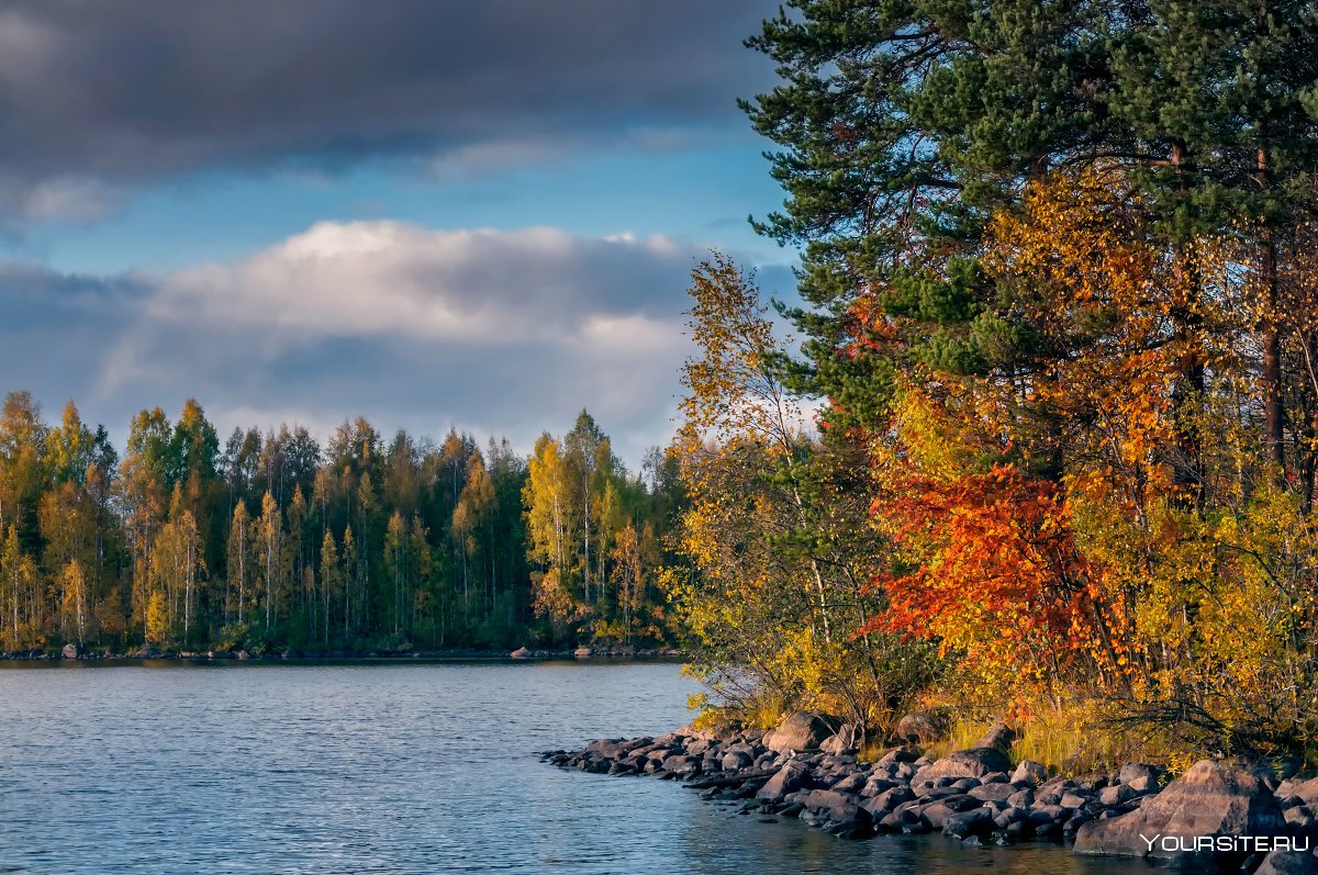 Золотая осень в Карелии