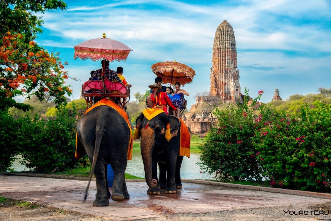 Таиланд Шри Ланка