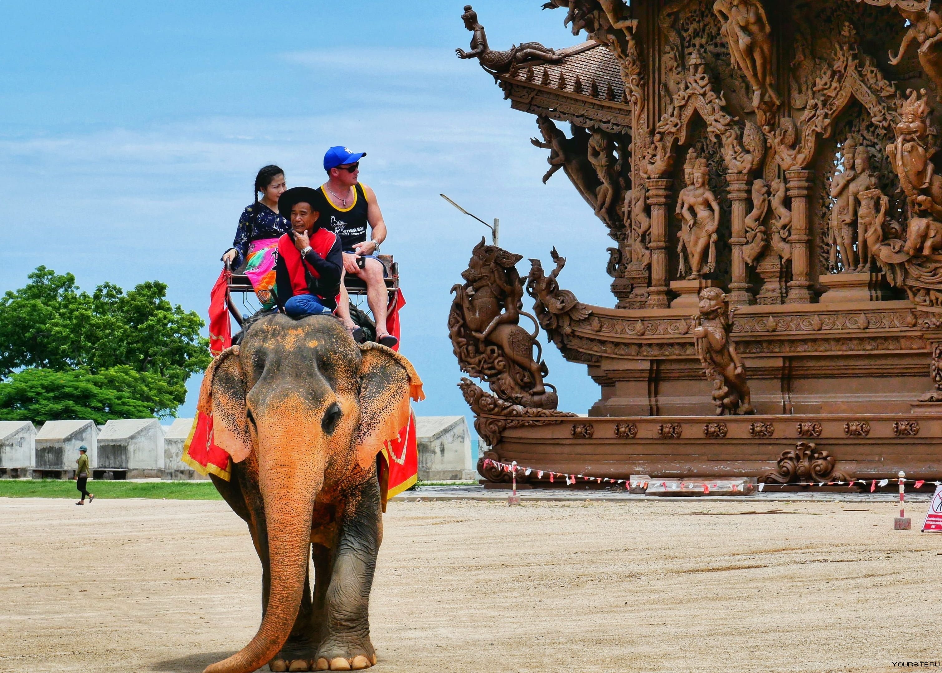 Поездка в индию. Тайланд слоны. Погонщик слонов Тайланд. Храм слона в Таиланде. Путешествие на слоне.