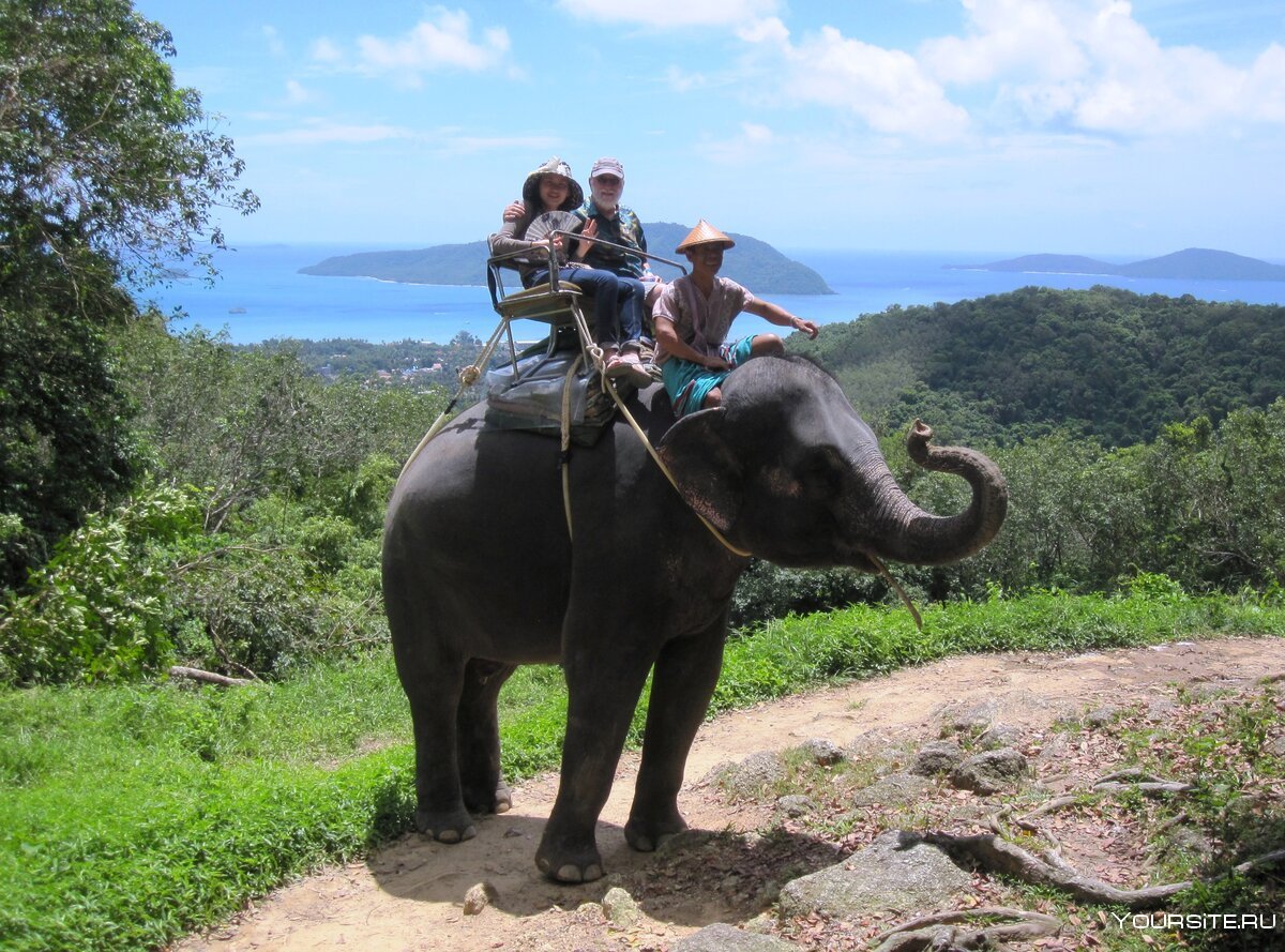 Поездка на слоне