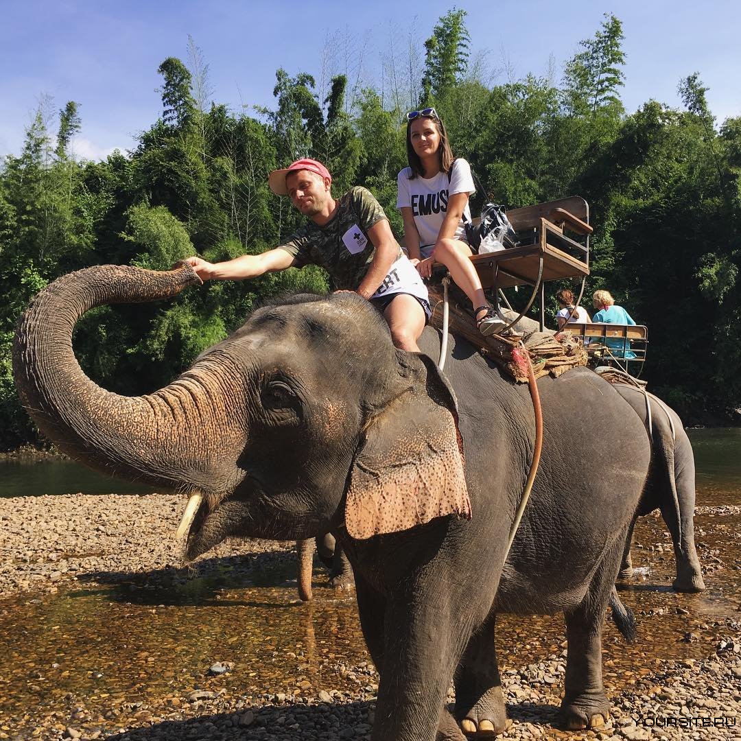 тайланд слоны