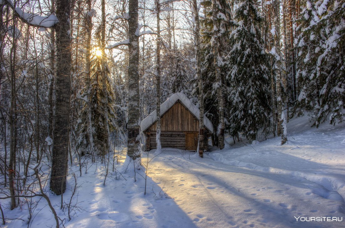 Баня в зимнем лесу