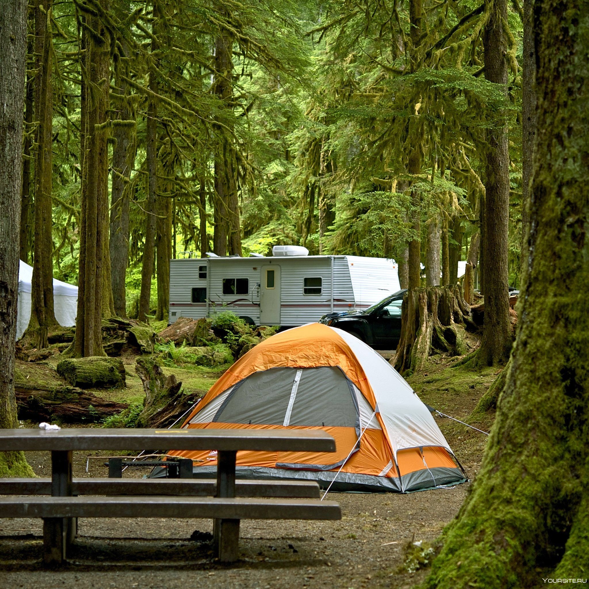 Www camping