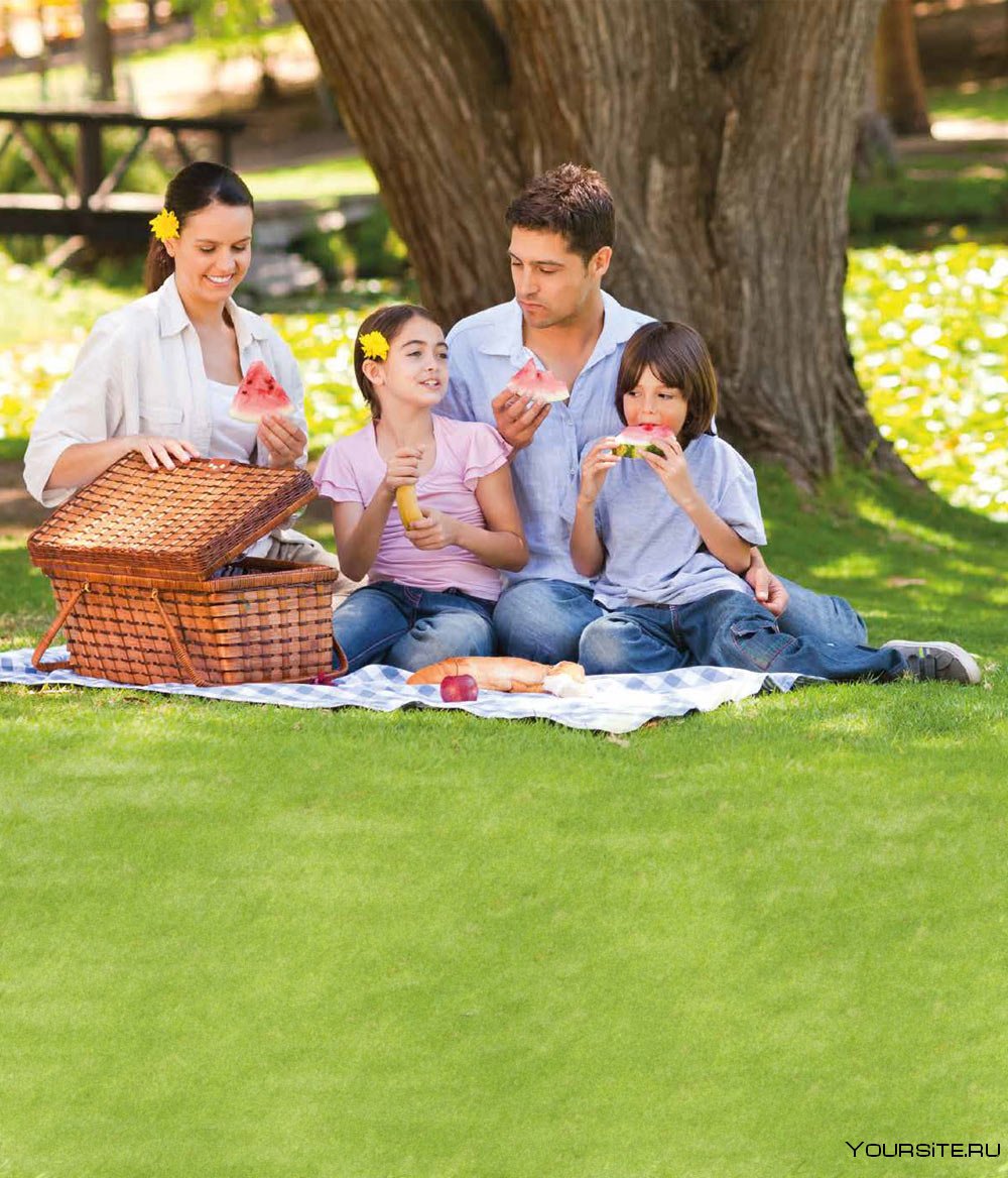 Семья на пикнике с друзьями