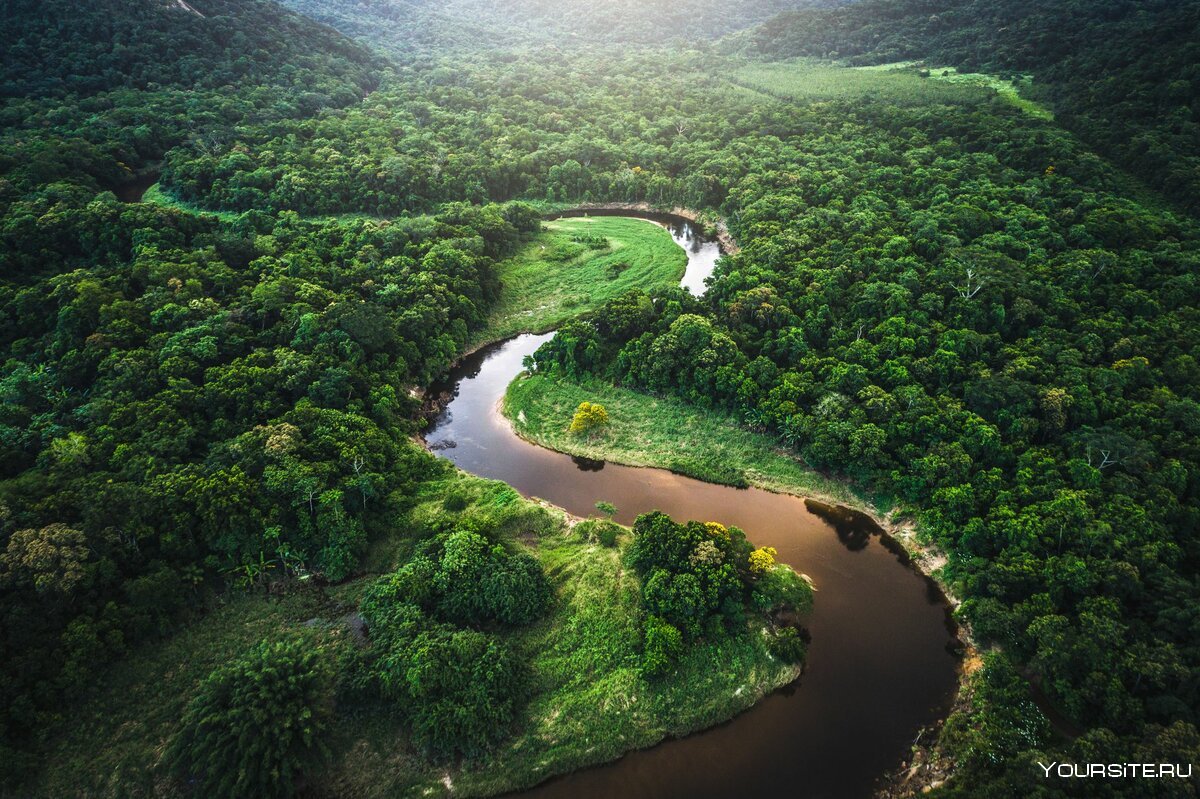 Тропические леса амазонки