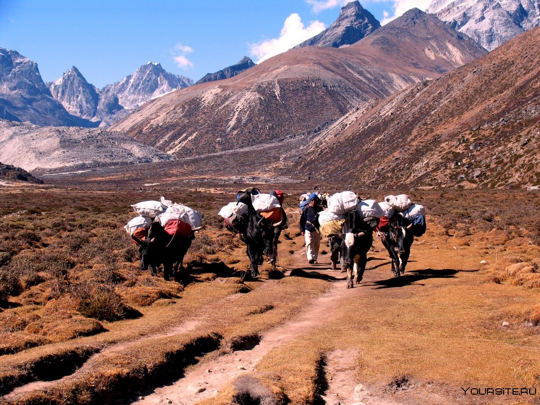 Слаборазвитое сельское хозяйство в горах Тибета
