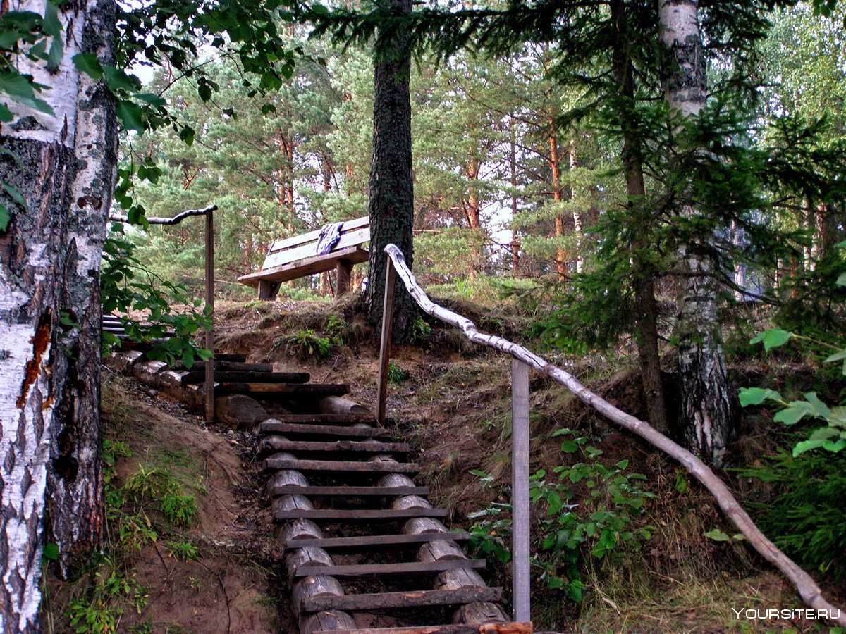 Каменная лестница в лесу