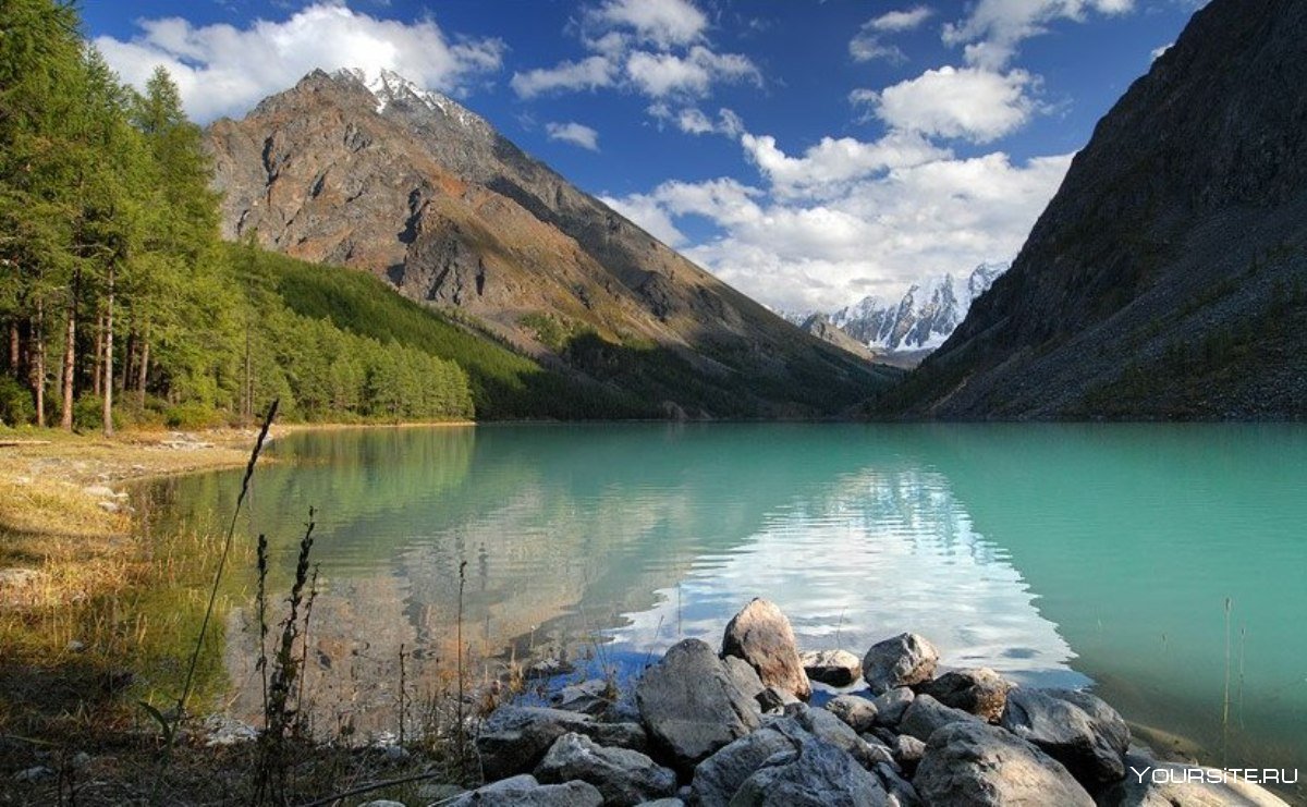 Природа озера и горные реки Алтая