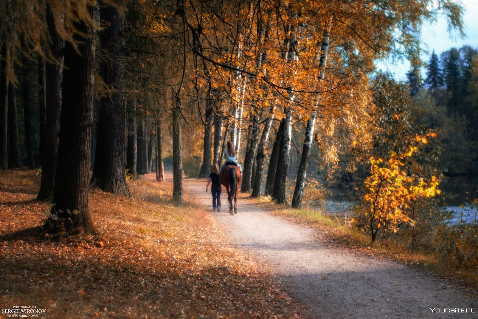 Погулять по лесу. Прогулка в лесу. Прогулка в осеннем лесу. Прогулка по осеннему лесу. Прогулка по лесу осенью.