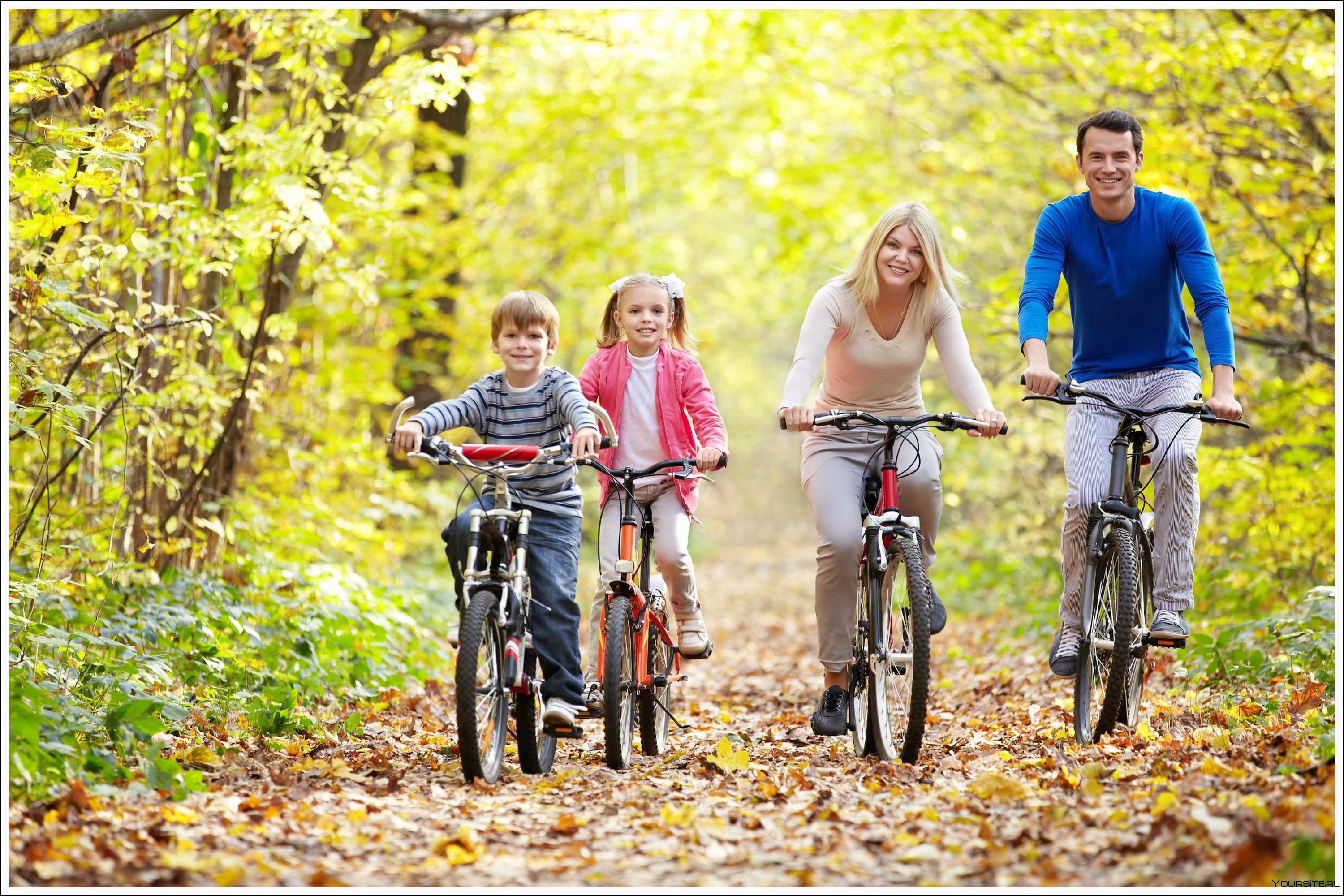 Находиться на свежем воздухе. Прогулки на свежем воздухе. Семья на прогулке. Прогулка на природе. Семья на велосипедах.
