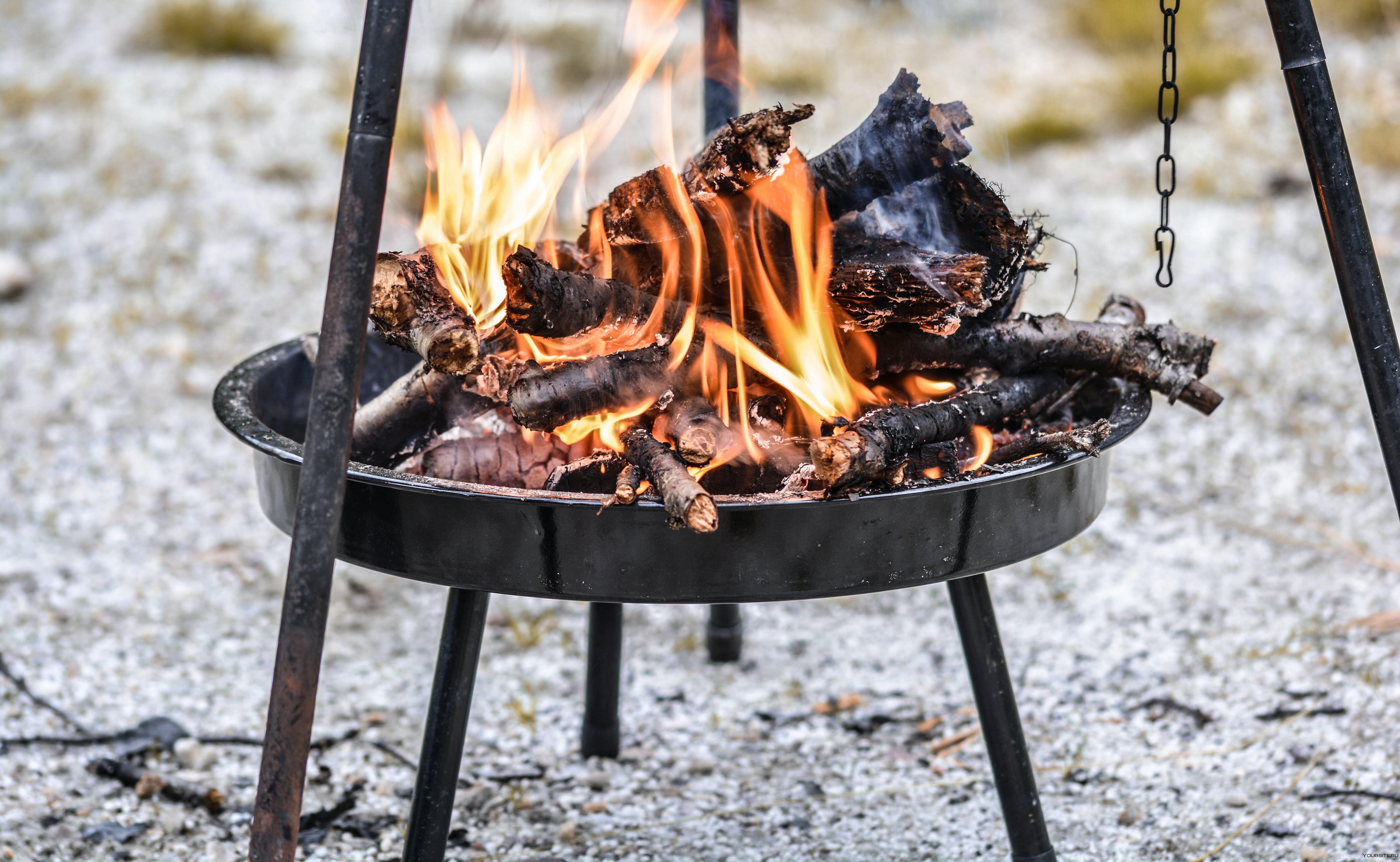 Можно ли жарить шашлык в лесу. Еда на костре. Приготовление пищи на огне. Барбекю на костре.