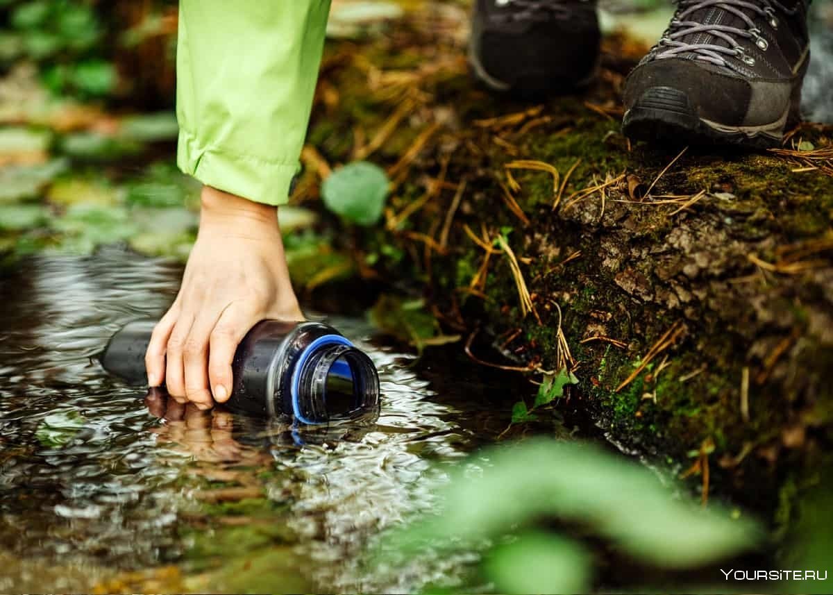 Питьевая вода в лесу