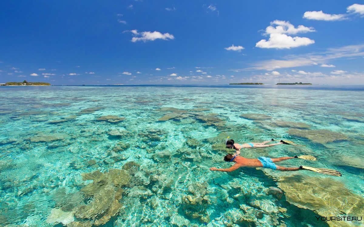 Мальдивы снорклинг риф