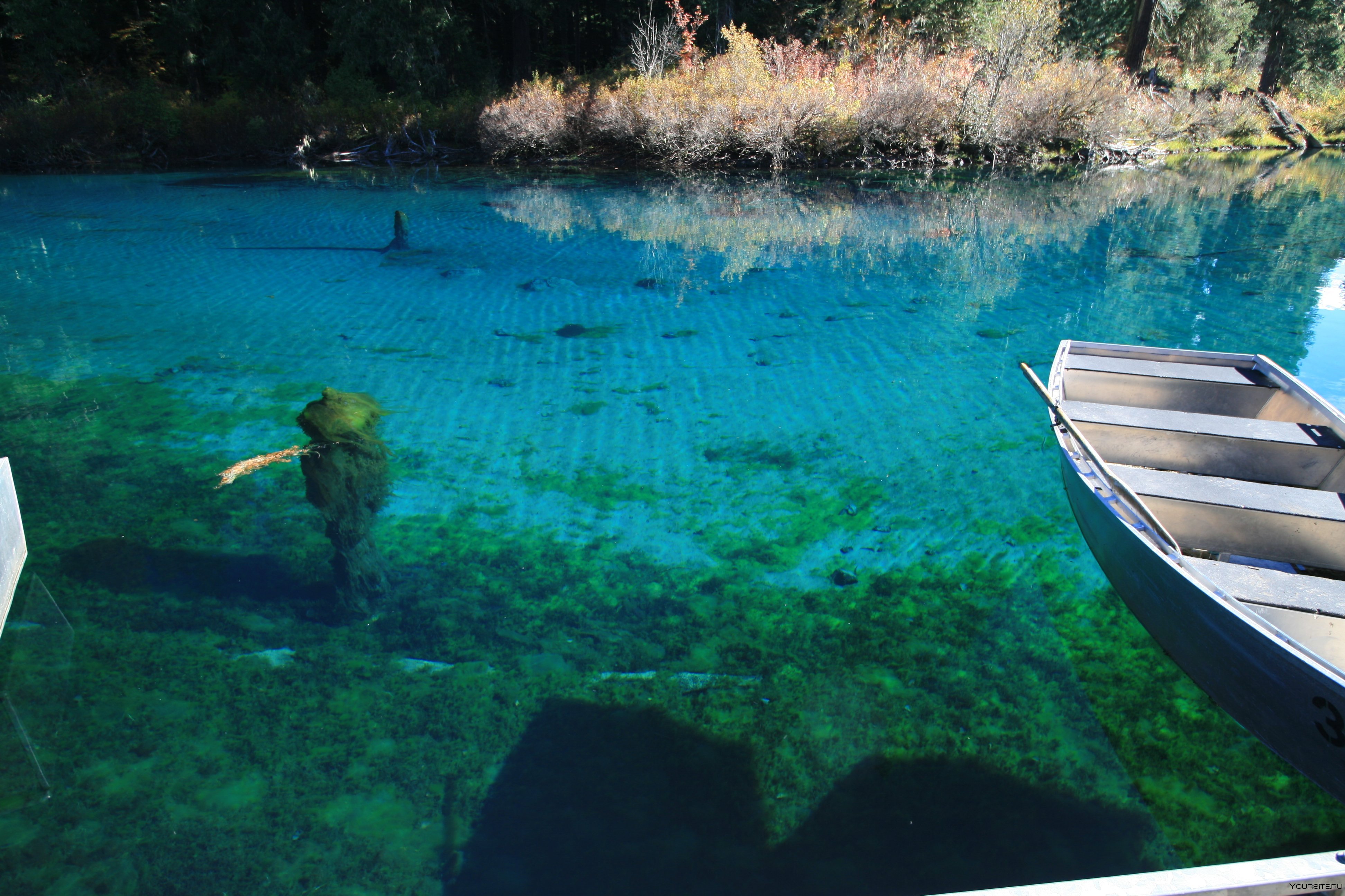 Самое прозрачное в мире. Озеро Флатхед, США. Флатхед озеро прозрачное. Самое прозрачное озеро в мире глубина 100 метров. Кристально чистое озеро в Малайзии.