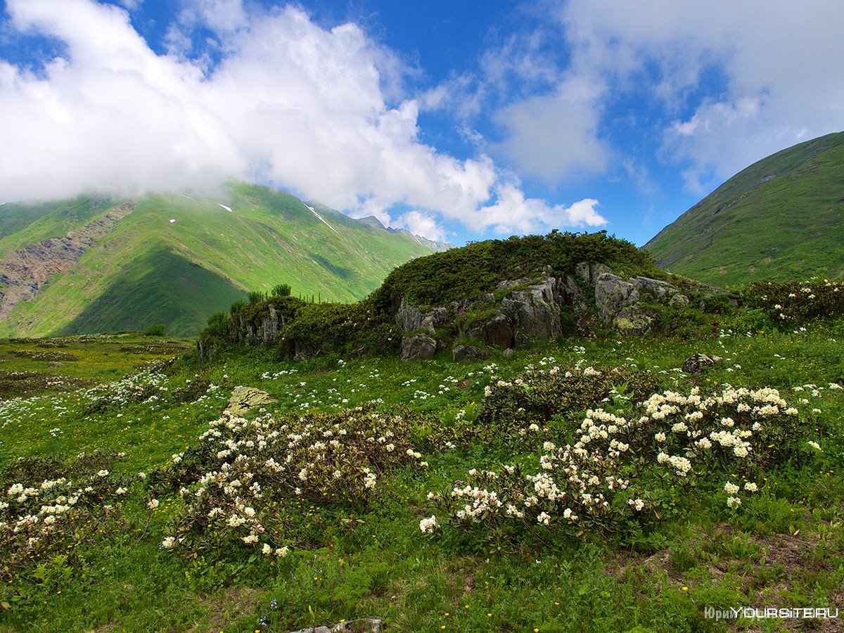 Природные заповедники Кавказа