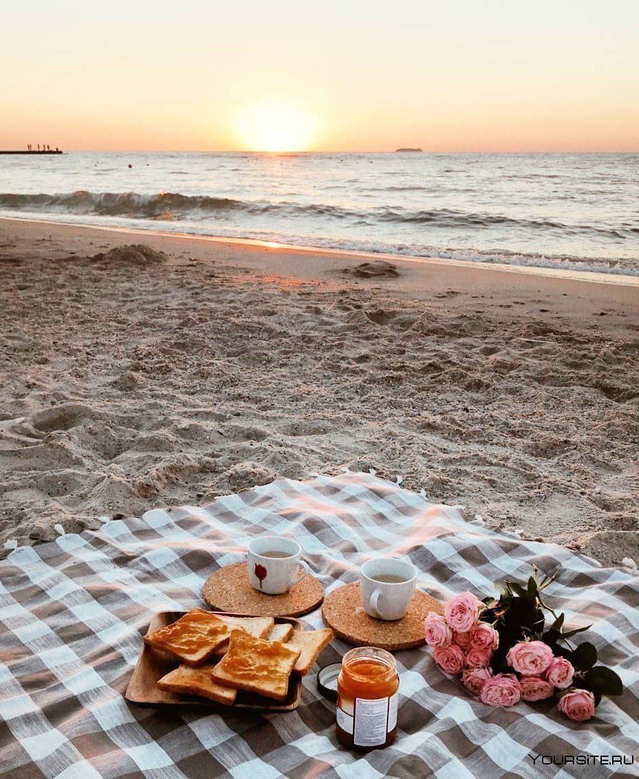 Пикник на берегу моря