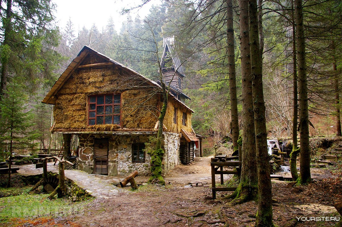 Одинокий домик у озера в лесу