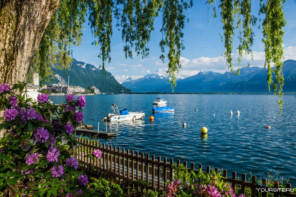Озеро Монтре Швейцария