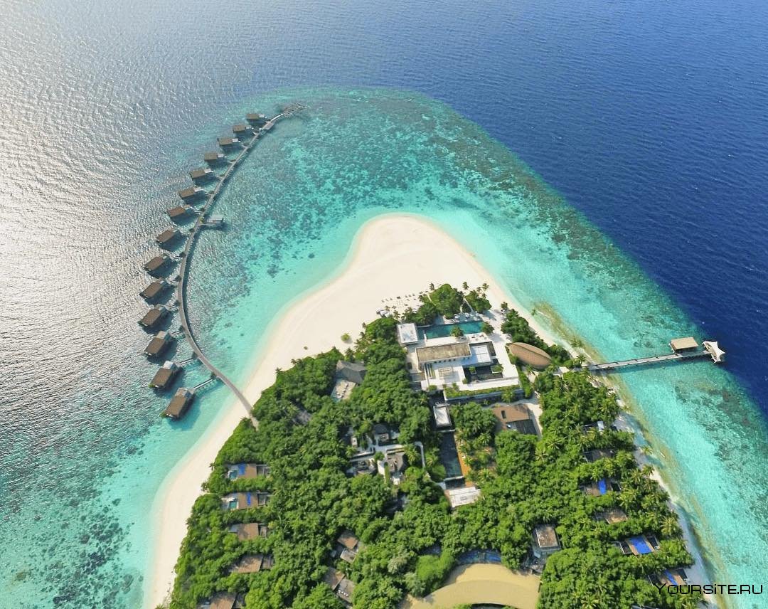 The Nautilus, Beach & Ocean Houses, Мальдивы лого