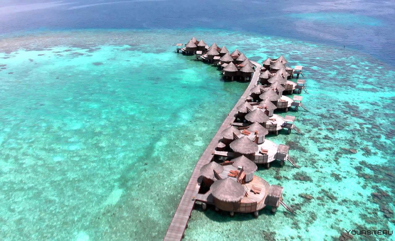 Nika Island Resort 5 Мальдивы Мале