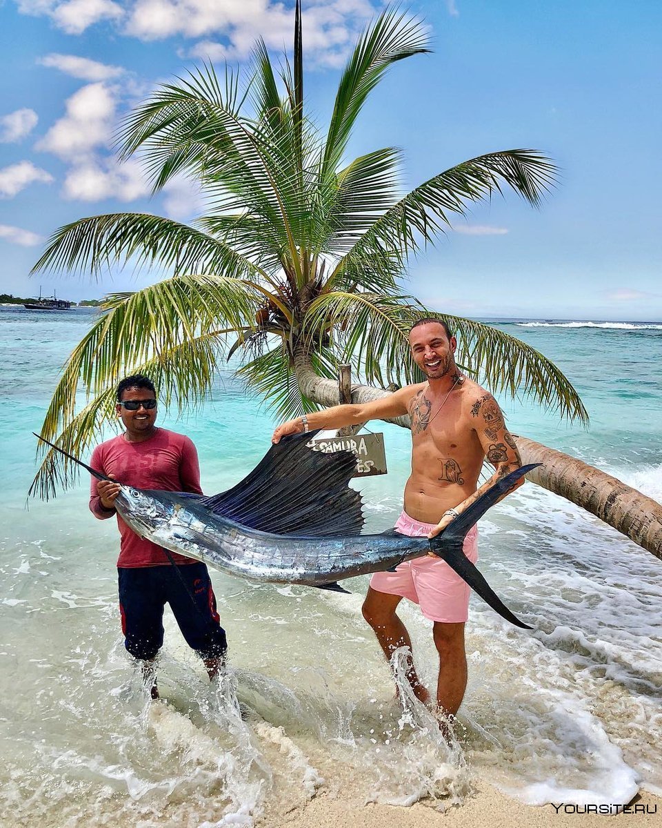 Большие рыбы на Мальдивах
