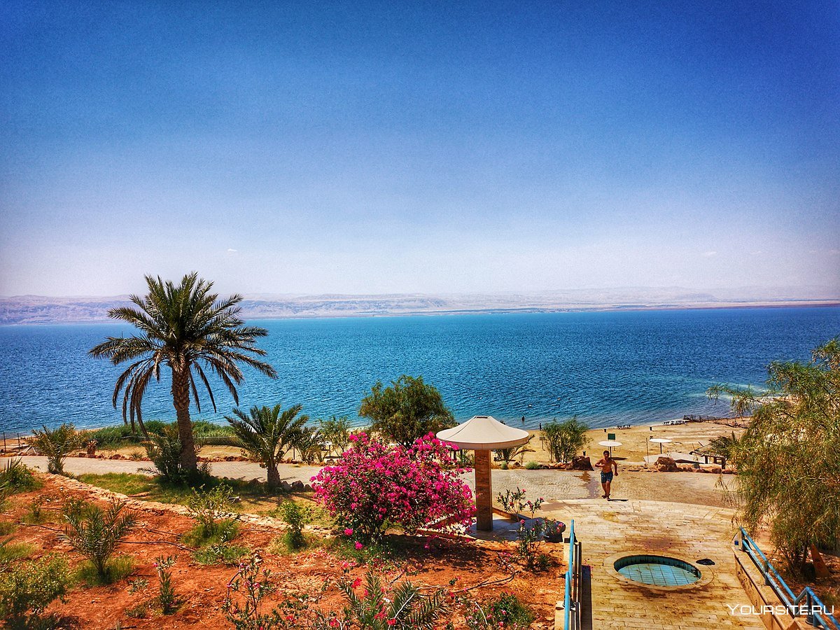 Мертвое море Амаду