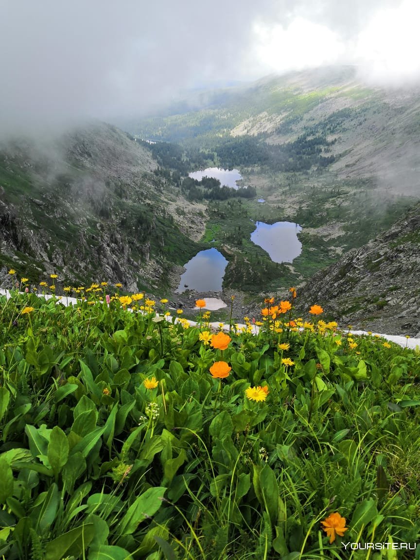 Альпийские Луга Каракольские озера