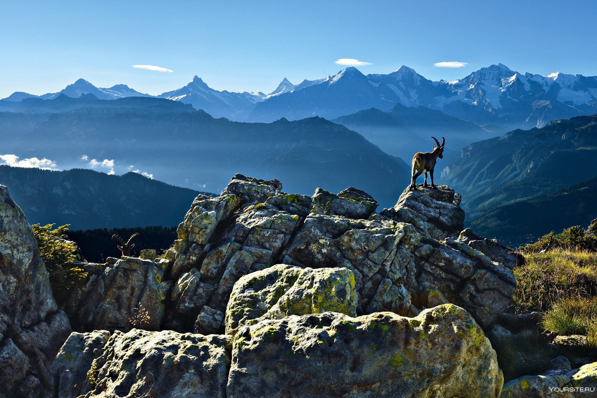 Mount shared. Бернские Альпы. Швейцария панорама. У главенствующей горы. Прогулка по скалам в Интерлакене.