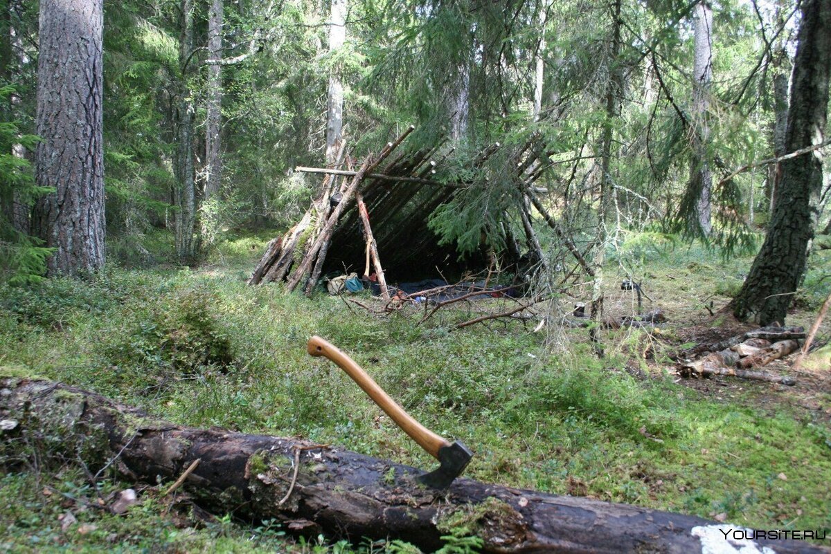 Вигвам жилище лесных индейцев
