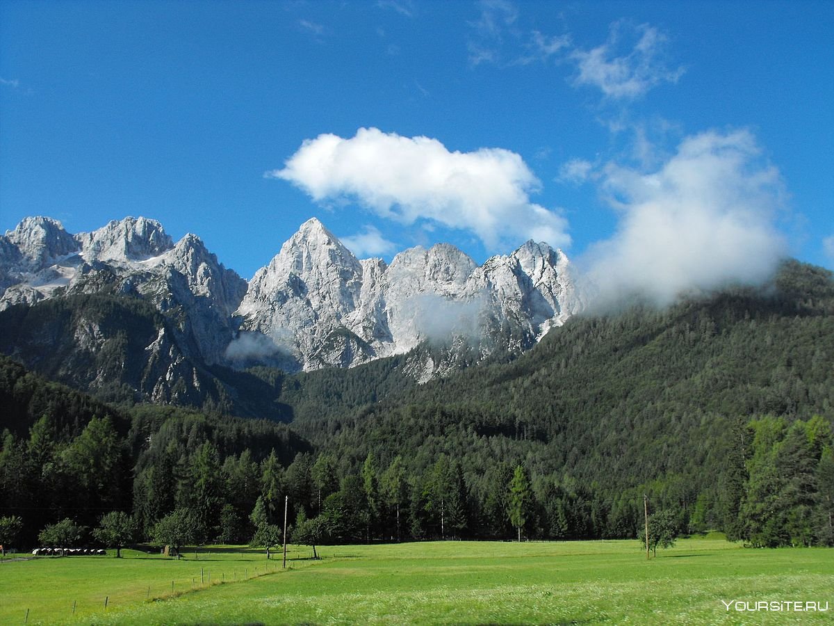 Краинска гора Словения