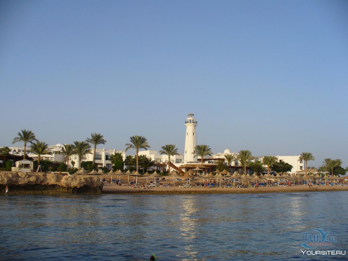 Египет пляж пальмы