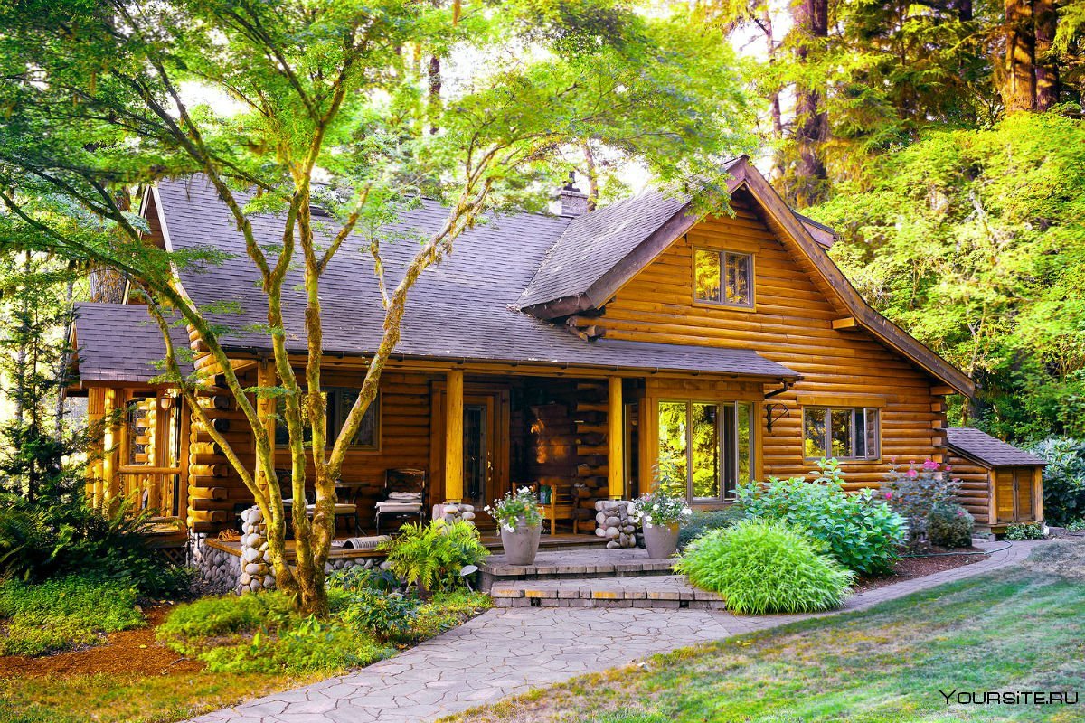 Деревянный дом на природе