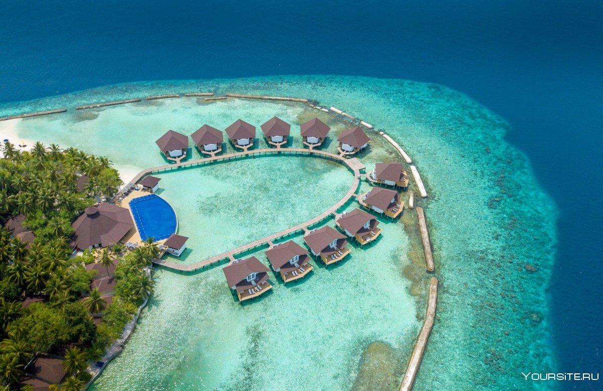 Природа Мальдивских островов