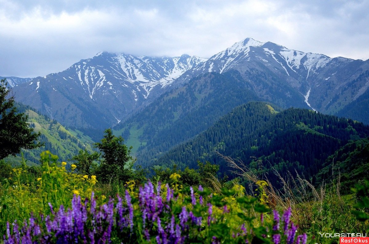 Горы Алатау в Казахстане