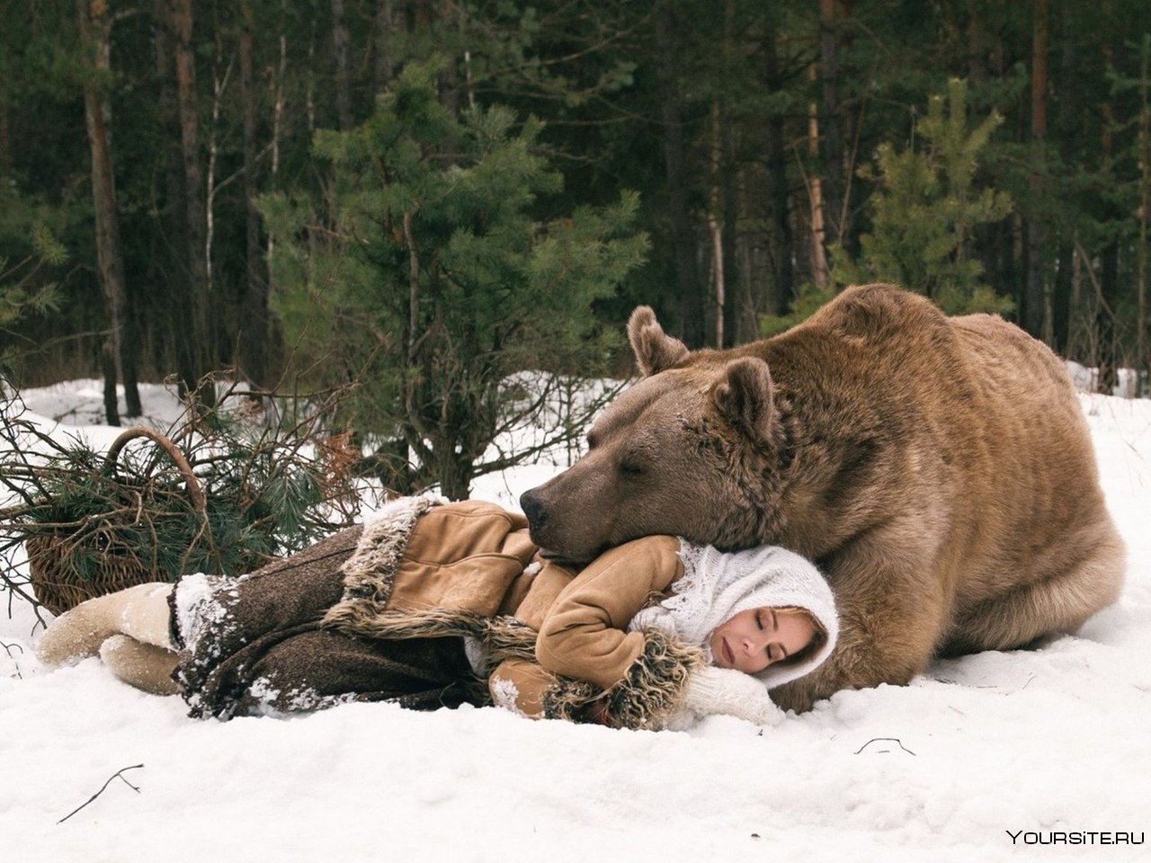 Медведь и человек в лесу