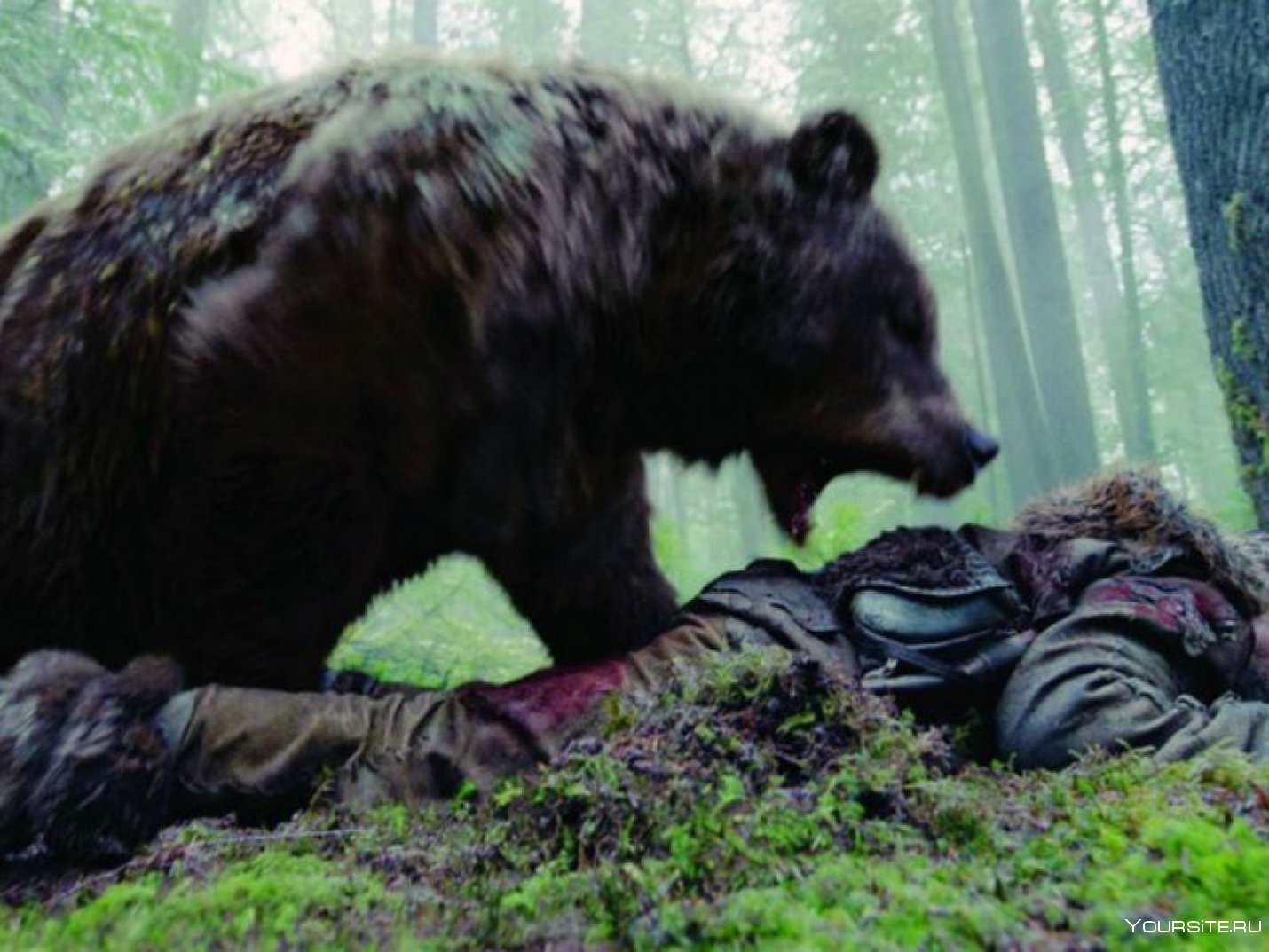 как убить медведя раст фото 47