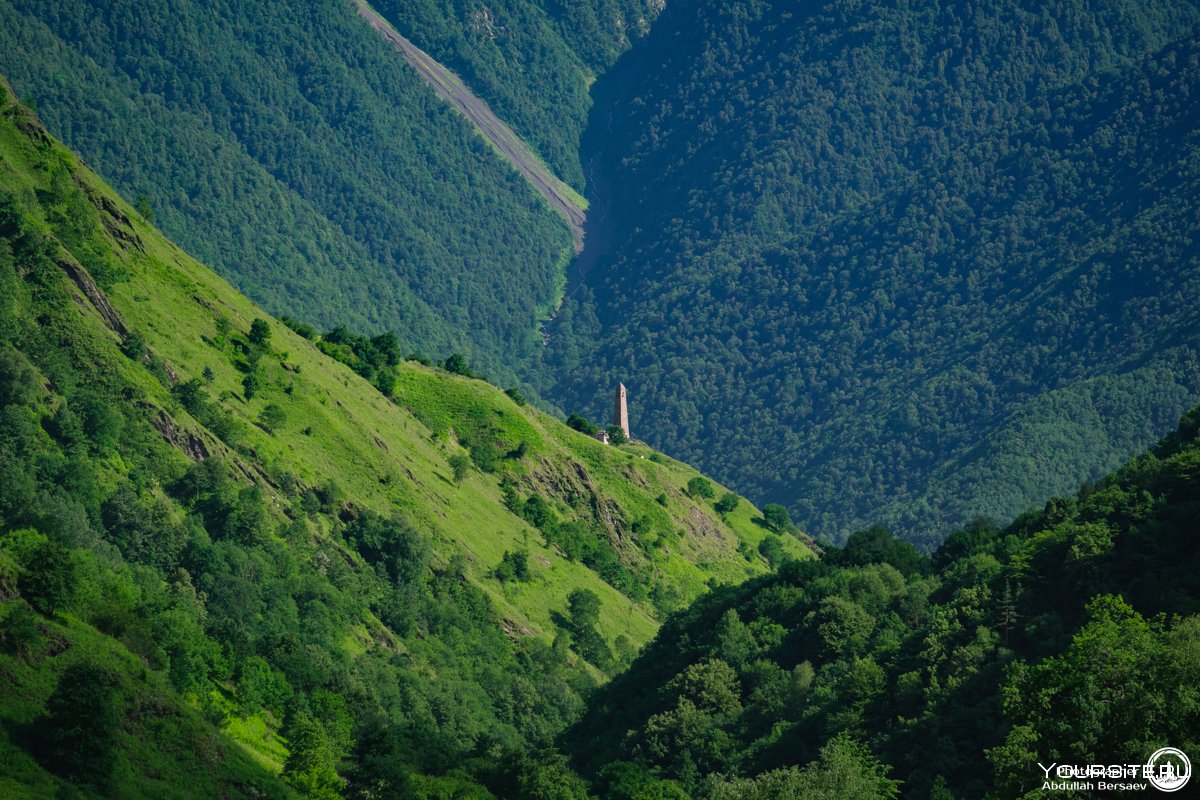 Горы и леса Чечни